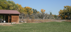 Large Pasture Areas